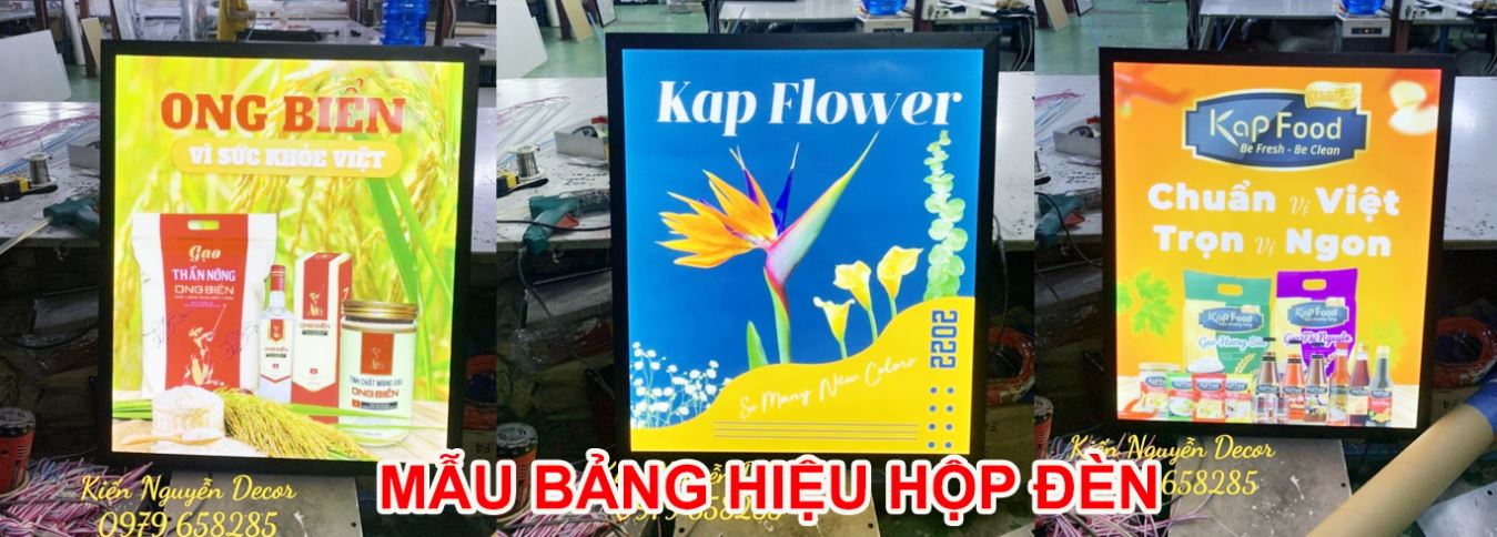 hình 2
