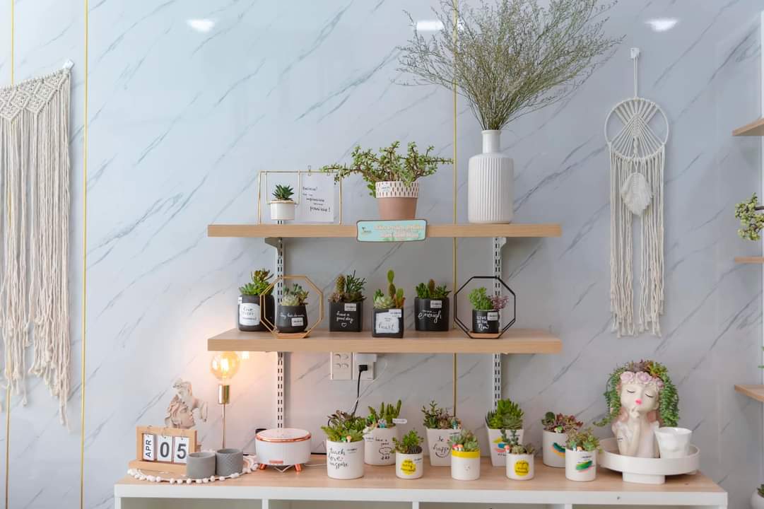 Thiết kế Shop Hoa Xương Rồng