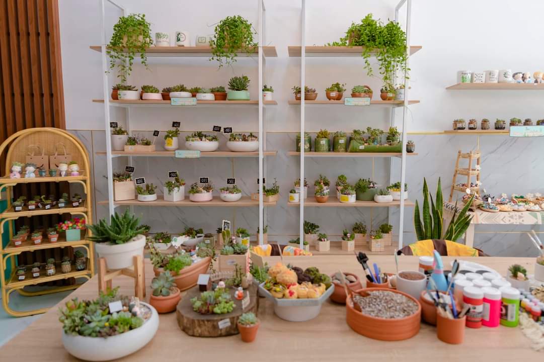 Thiết kế Shop Hoa Xương Rồng